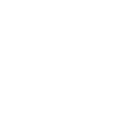 Virtual Interviews
